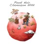 Pinot Noir de Chamoson 2023 - Domaine des Petites Planètes