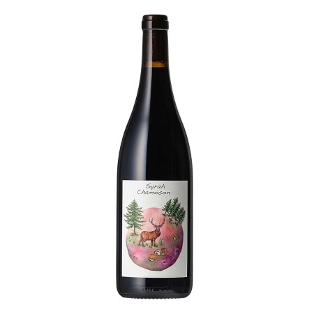 Syrah de Chamoson - AOC Valais - Domaine des Petites Planètes